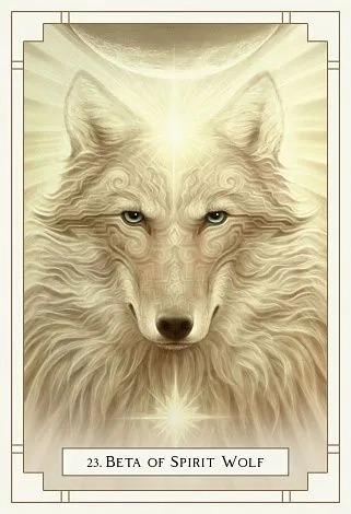 Оракул Белого Света (White Light Oracle)