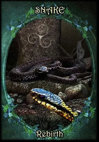 Оракул "Ведьмины Фамильяры" (Witches' Familiars Oracle Cards)