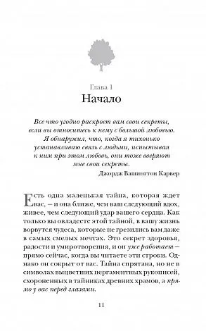 Фрэнк Кинслоу "Секрет мгновенного исцеления. Квантовая синхронизация здоровья"