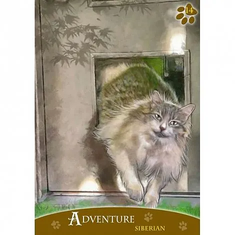 Кошачий Оракул