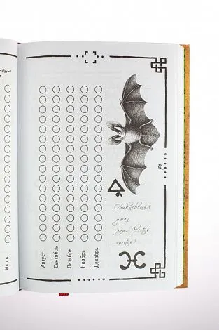 А. Саргсян "Викка. Книга теней"