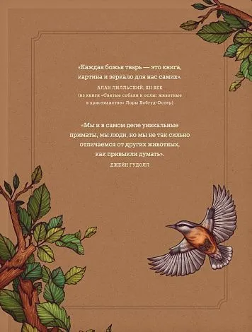 Книга-оракул "Магический бестиарий. Вдохновляющие послания и ритуалы от 36 волшебных животных"