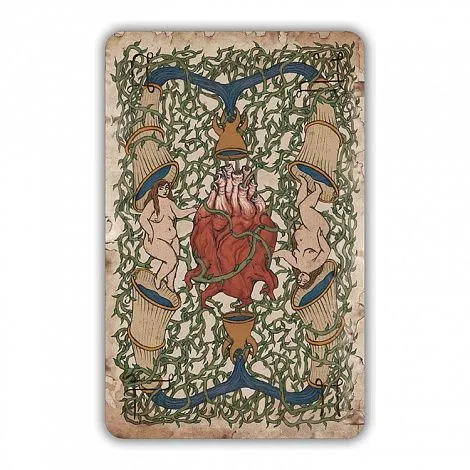 Оракул Войнича (Voinich Oracle), с инструкцией