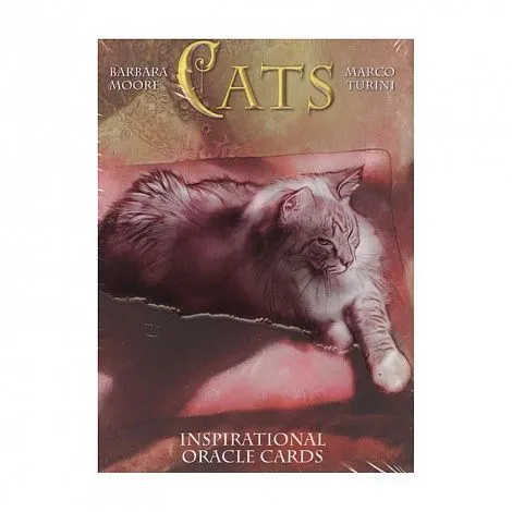 Кошачий Оракул