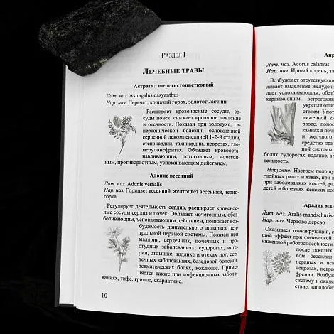 "Секреты целительства и магия трав", сборник