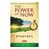 Толле "Практика "Power of Now"