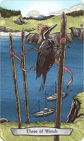 Набор "Animal Totem Tarot" (Таро Тотемных Животных, карты + книга)