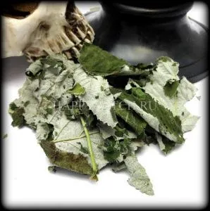 Малина лесная (пакет 10 гр.)