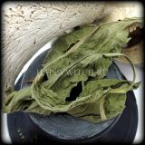 Подорожник (пакет 20 гр.)