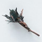 Брошь &quot;Колдовской цветок&quot; из синего чертополоха (синеголовника)