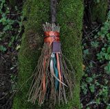 Метла &quot;Вишня&quot;