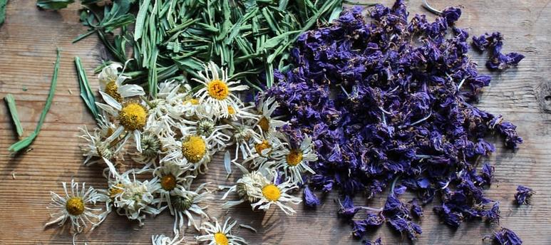 Травы для заваривания, чайные напитки, кофе и какао