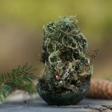 Свеча-полянка &quot;Темный лес&quot;