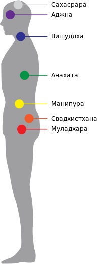 Расположение чакр на теле человека