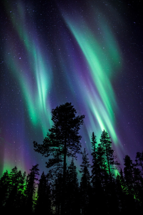 Green_candle_mood2.jpg Northern-Lights
