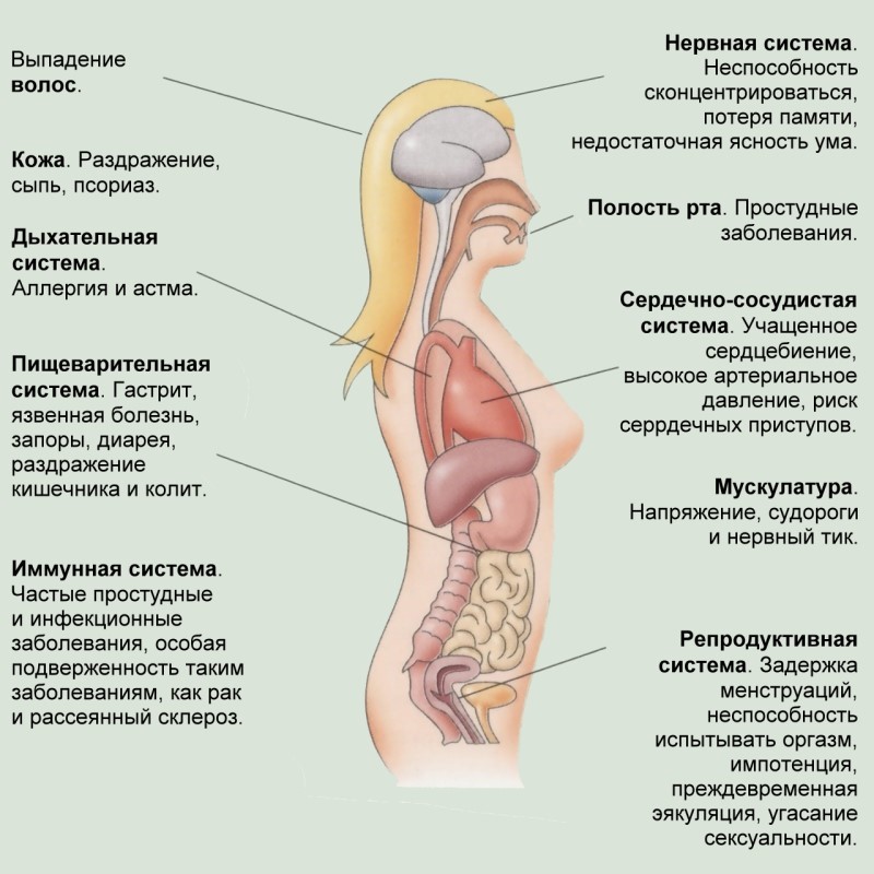 Как восстановиться после стресса Как восстановиться после стресса