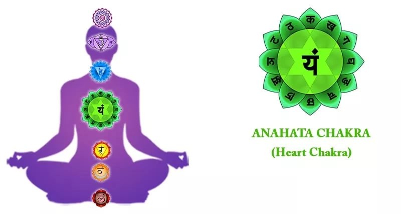 Четвертая чакра Анахата и ее значение в жизни человека