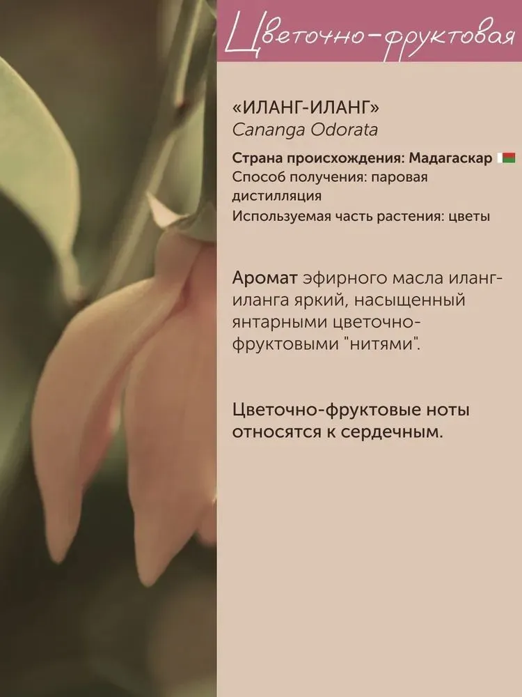 Набор эфирных масел (пачули, иланг-иланг, сандаловое дерево, роза дамасская), 35 мл