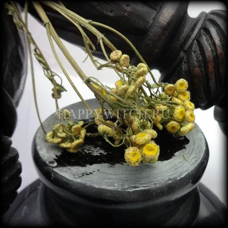 Пижма (пакет 25 гр)