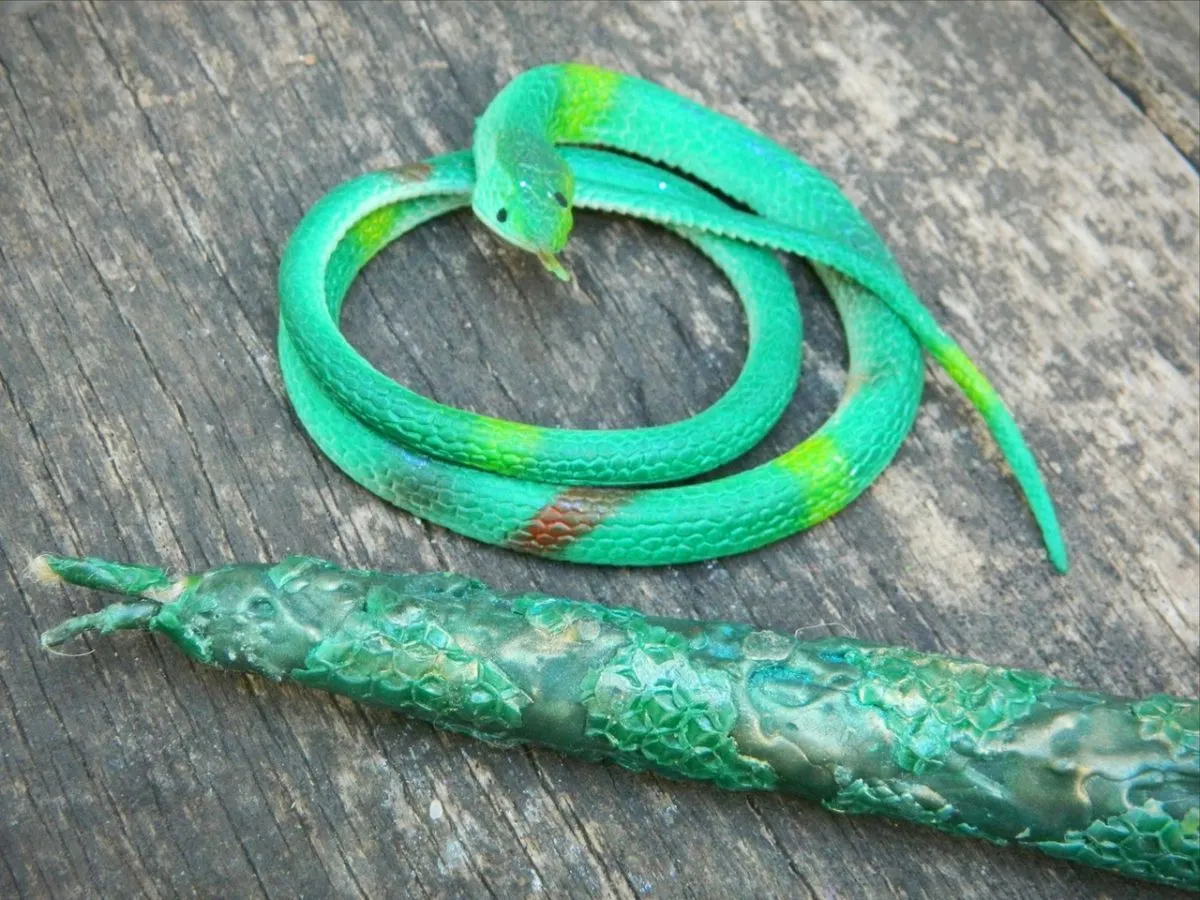 Змеиная свеча-маканка