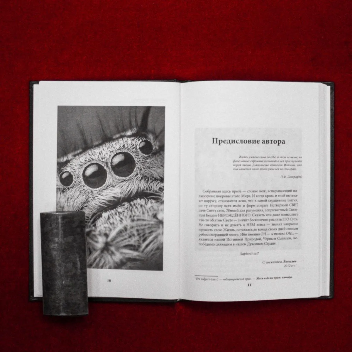 Велеслав Черкасов (волхв Велеслав) "Тропами Безумия… (Рассказы об Ином)"