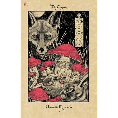 Волшебный Ботанический Оракул