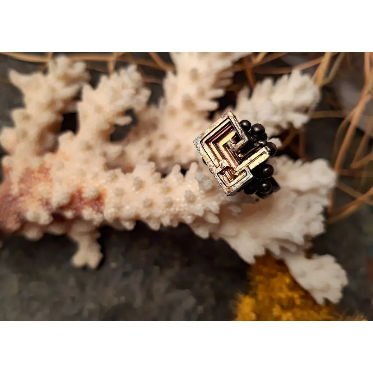 Кольцо "Проксима Центавра"