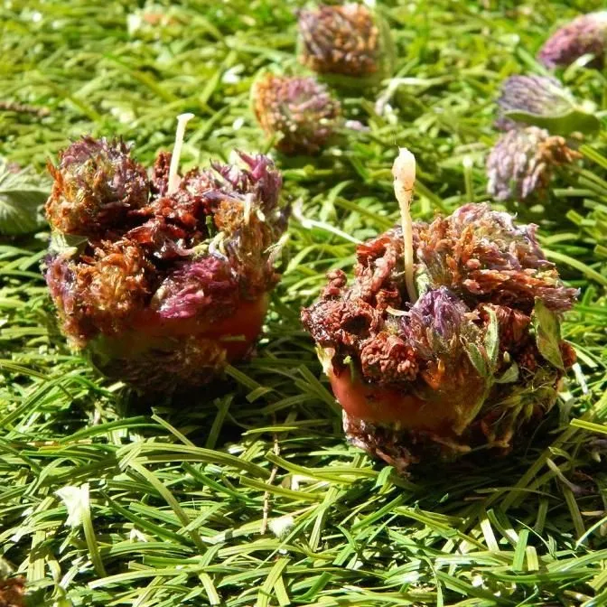 Свеча-полянка "Ягодная"