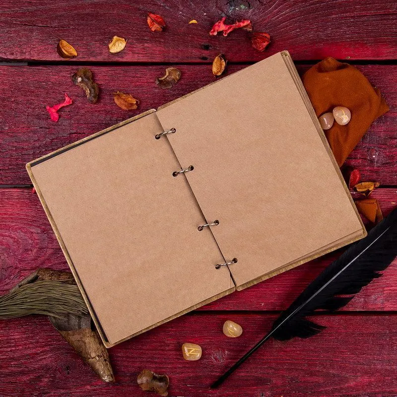 Блокнот для записей "Руна Альгиз"