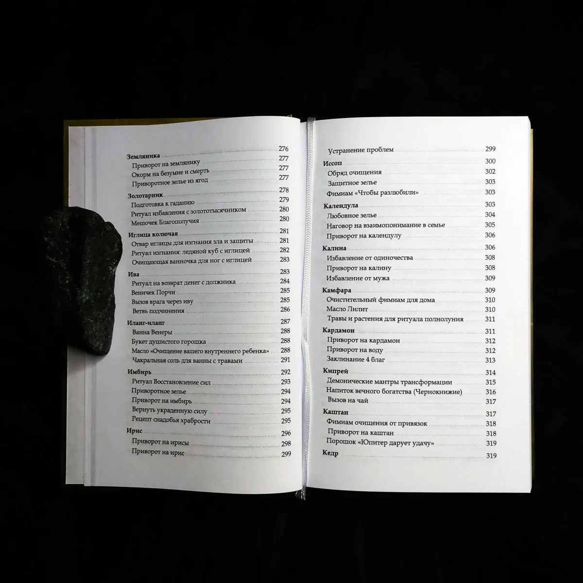 Ася Заботина "Арсенал ведьминых трав"