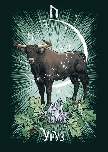 Рунический оракул "Фамильяры ведьмы" (24 карты и руководство)