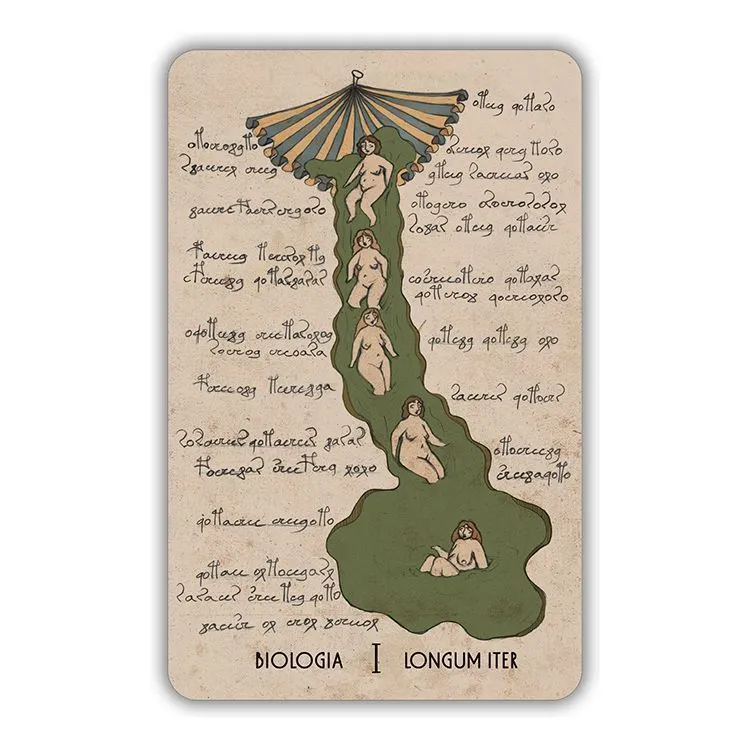 Оракул Войнича (Voinich Oracle), с инструкцией